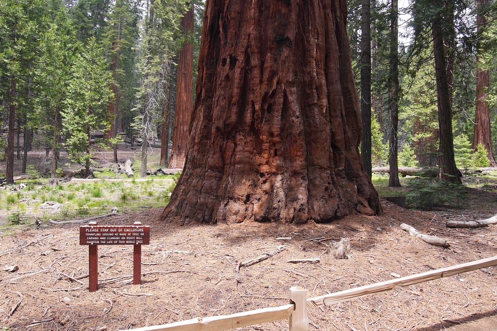 USA Roadtrip - Entlang der Westküste: Teil 2