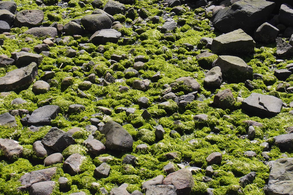 Vancouver - Von Granville Island bis zum Stanley Park