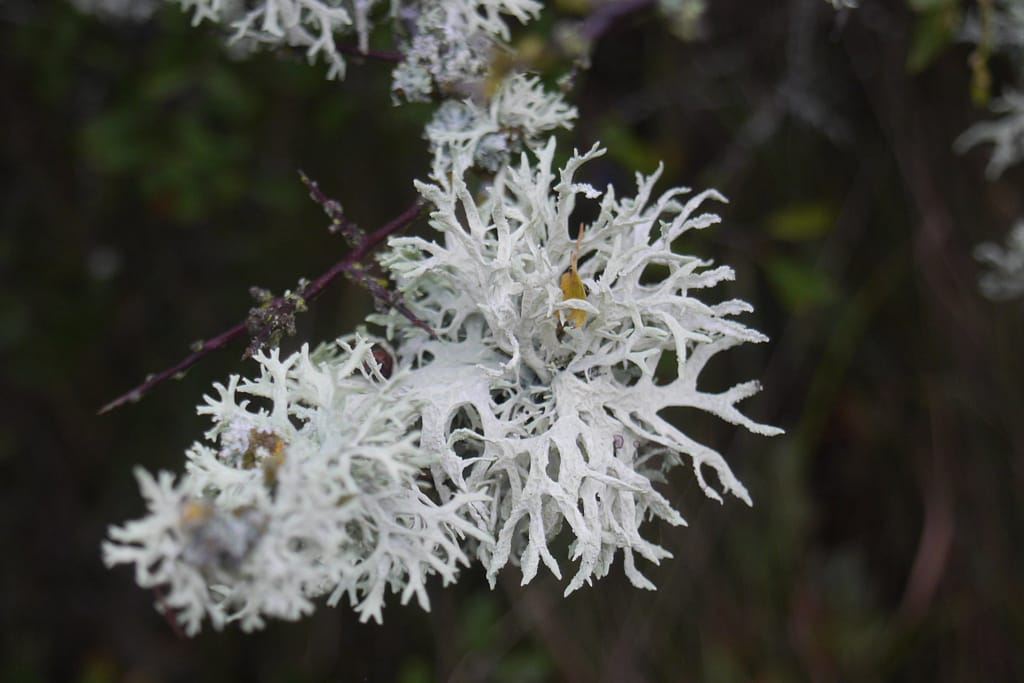 29. Ziel: Kåseberga & Karlskrona