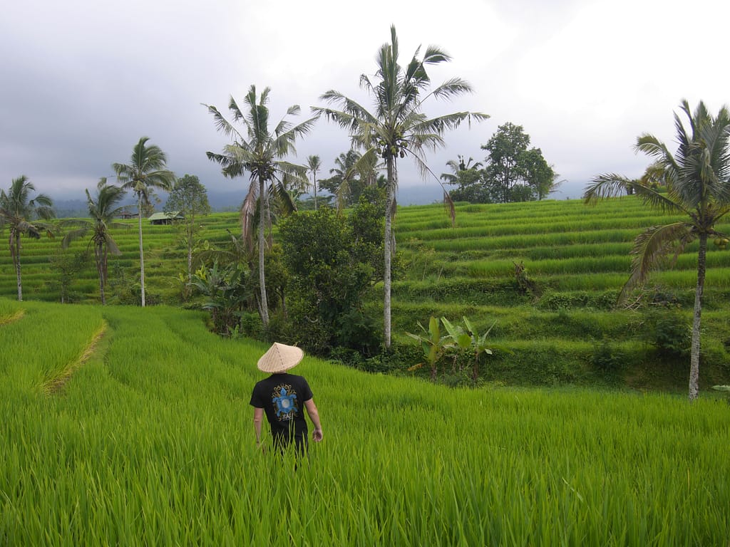 Reisetipps und Erfahrungen: Indonesien