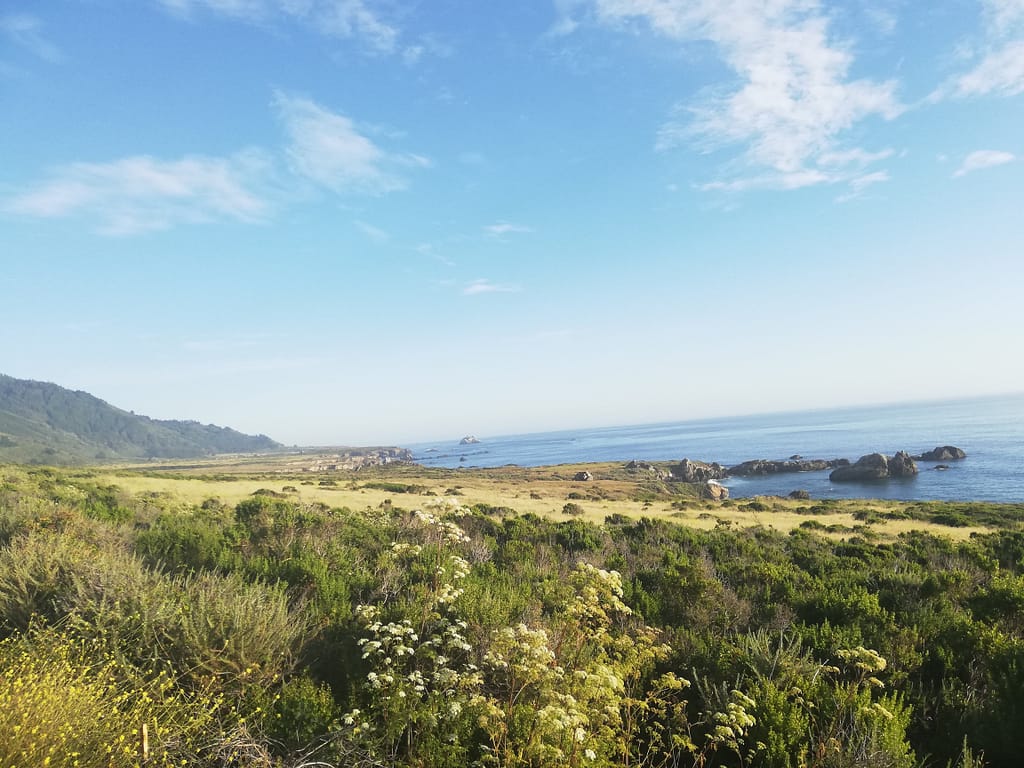 USA Roadtrip: Entlang der Westküste - Teil 4