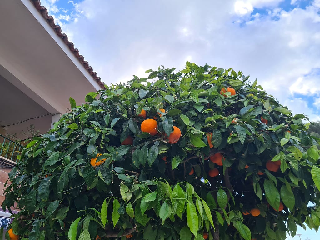 Kurztrip nach Mallorca - Reiseroute und Sehenswürdigkeiten