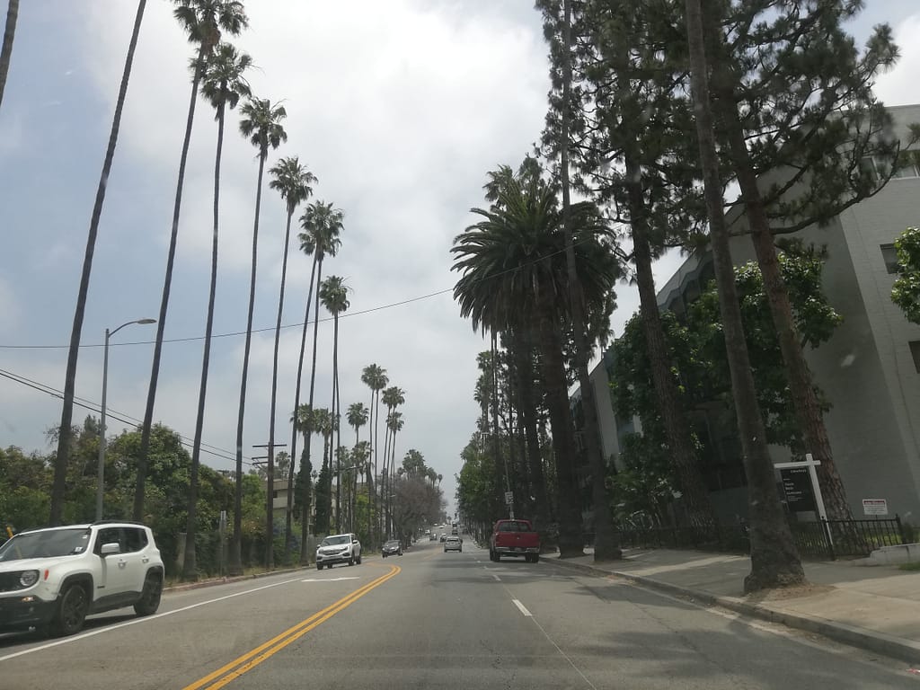 USA Roadtrip: Entlang der Westküste - Teil 5