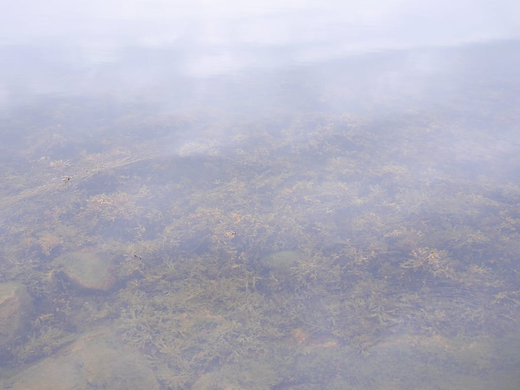 29. Ziel: Kåseberga & Karlskrona