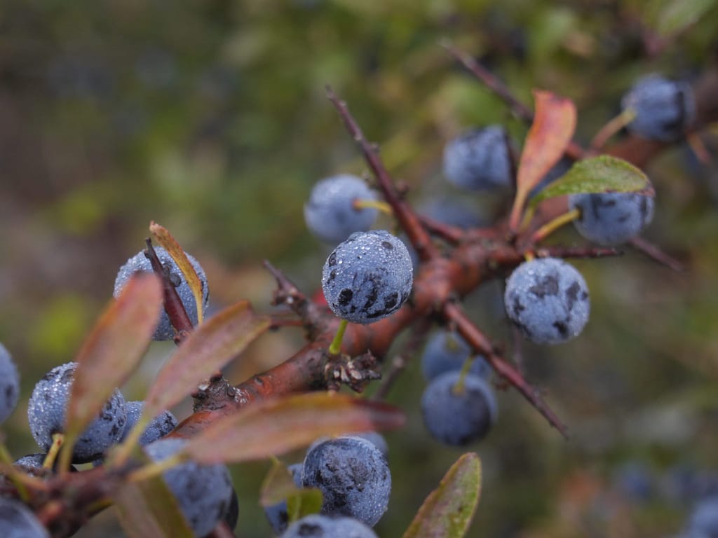 Reisetipps und Erfahrungen: Schweden