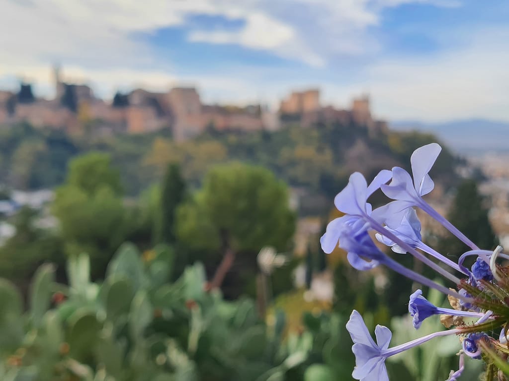 Reisetipps und Erfahrungen: Spanien