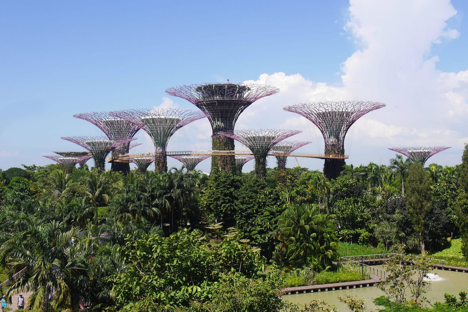 Trees Singapur