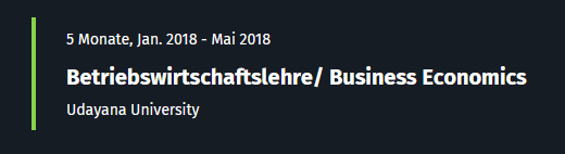 Auslandsaufenthalt im Lebenslauf?