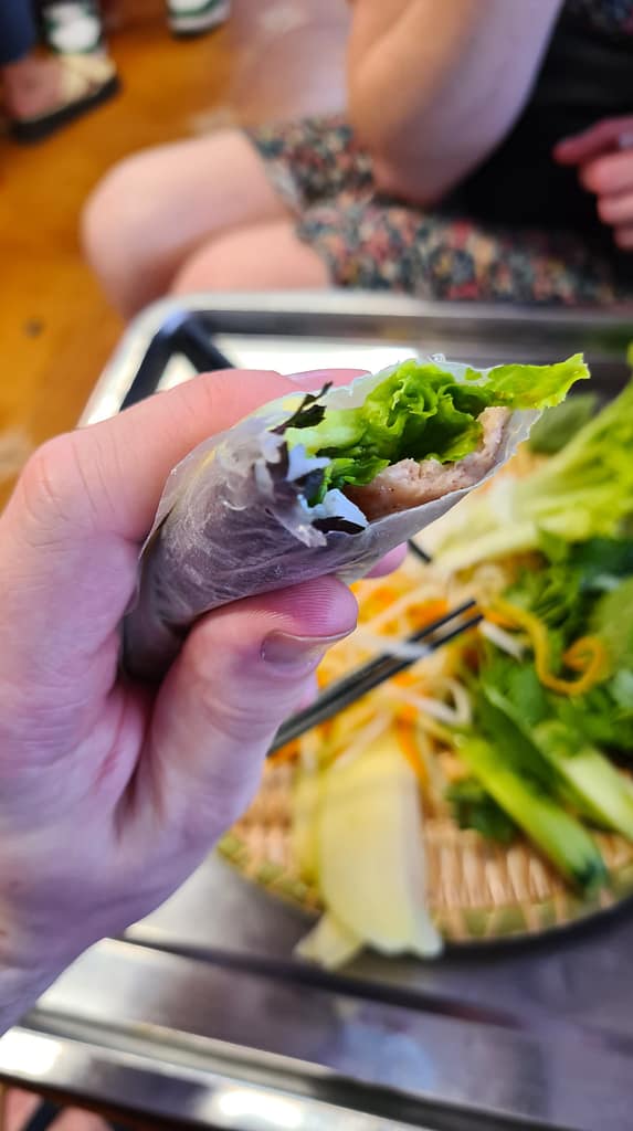 Die fertige Spring Roll