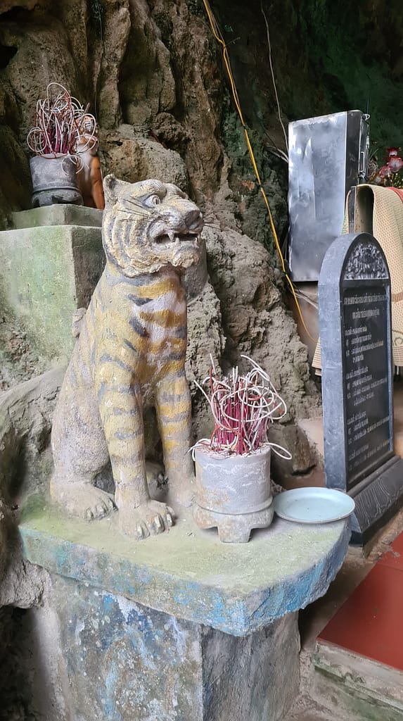 4TempelTiger 11. Ziel: Ninh Binh