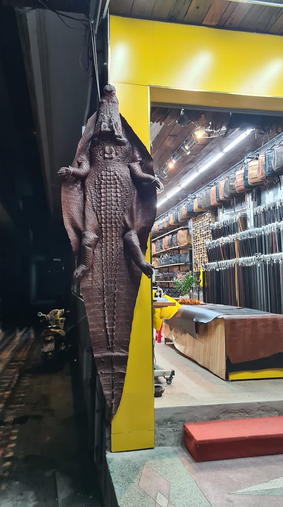 5crocodile 12. Ziel: Hue