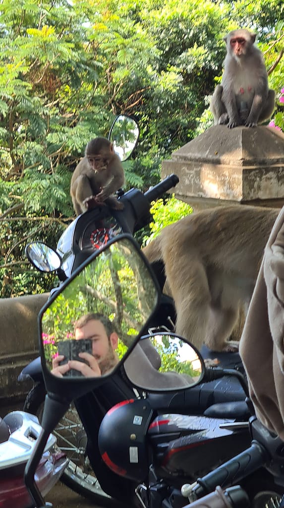 2Ape 14. Ziel: Da Nang