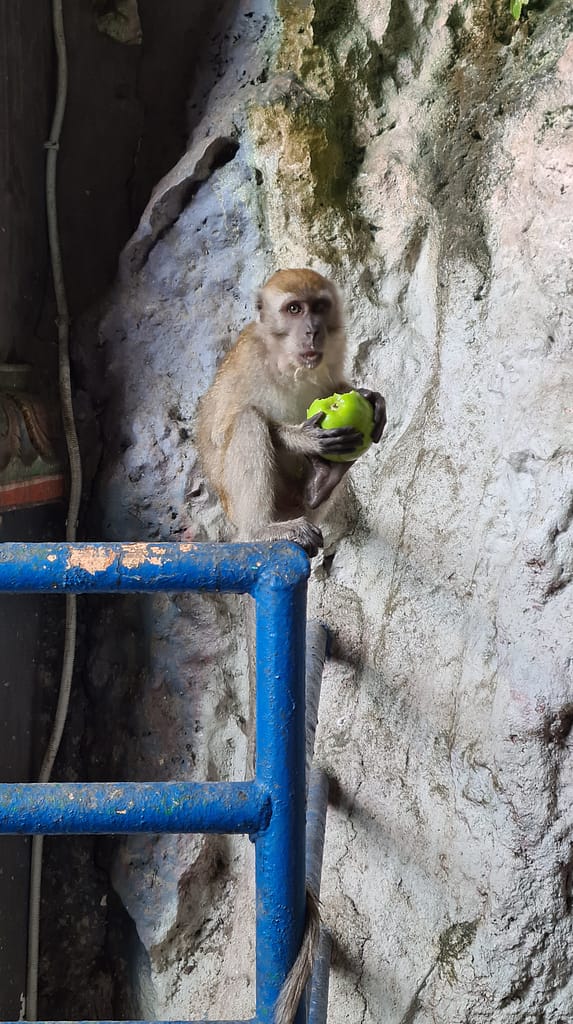 15. Ziel: Kuala Lumpur