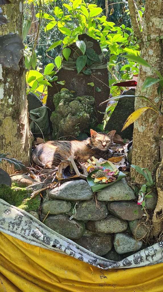 16.2 Ziel: Bali - Teil 2