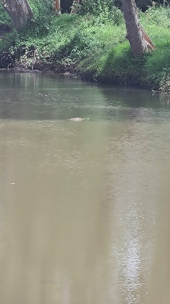 24. Ziel: Arugam Bay