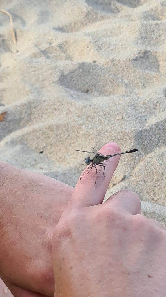 26. Ziel: Trincomalee