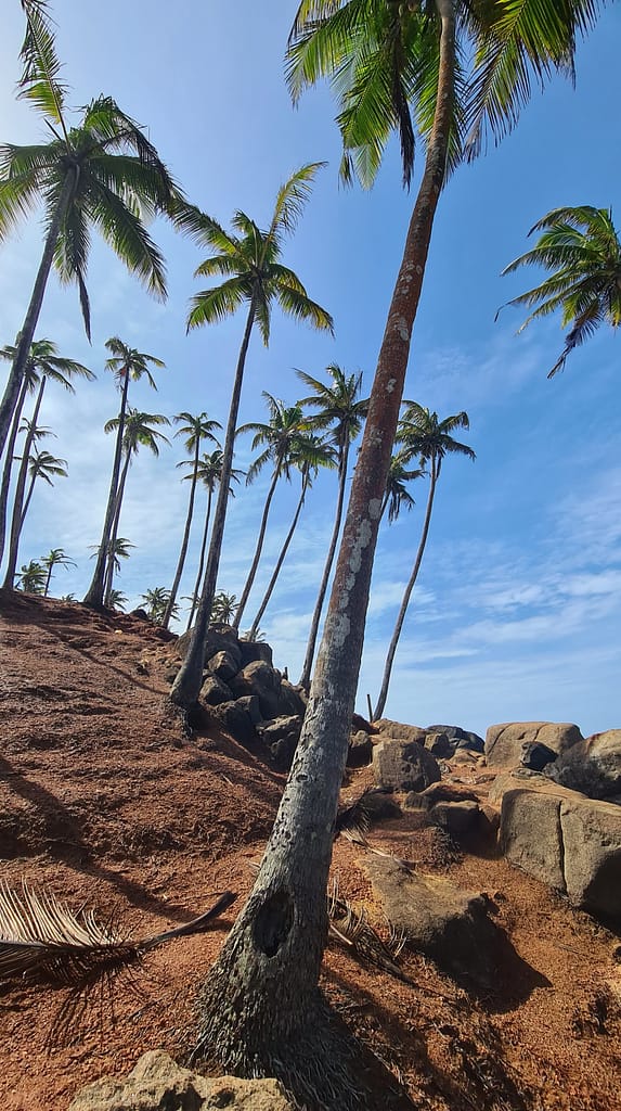 22. Ziel: Galle und Mirissa