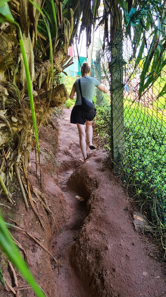 22. Ziel: Galle und Mirissa