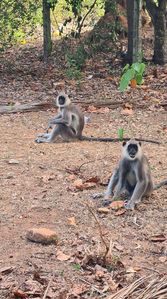 26. Ziel: Trincomalee