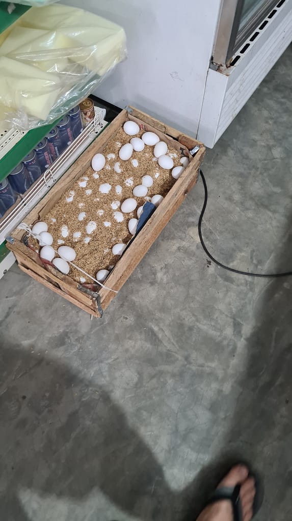 24. Ziel: Arugam Bay