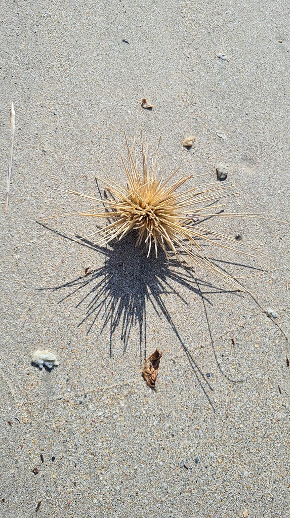 26. Ziel: Trincomalee