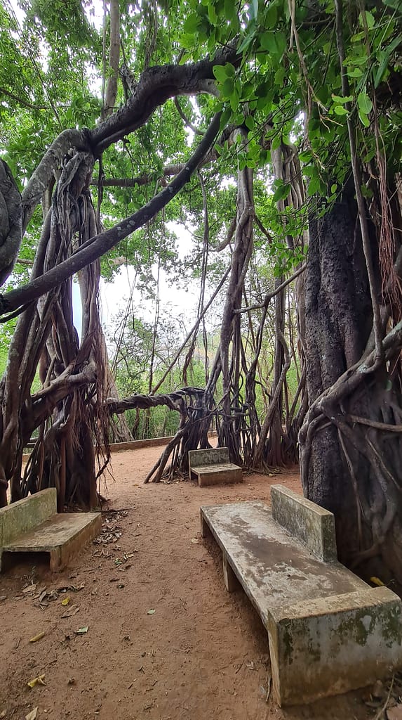 27. Ziel: Anuradhapura