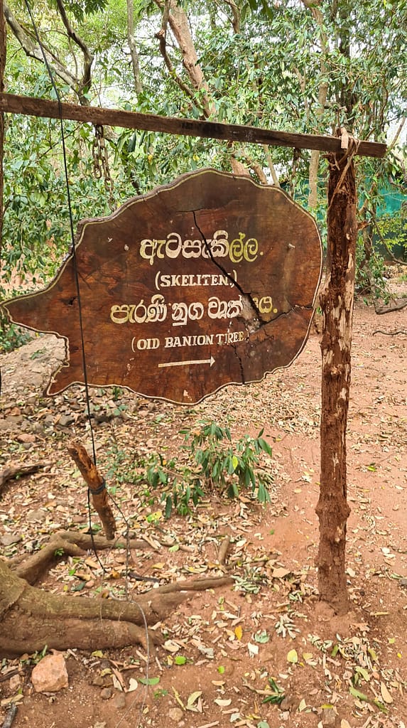 27. Ziel: Anuradhapura