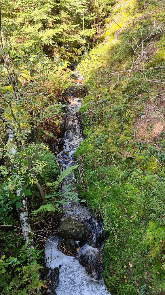 33. Ziel: Tiveden Nationalpark