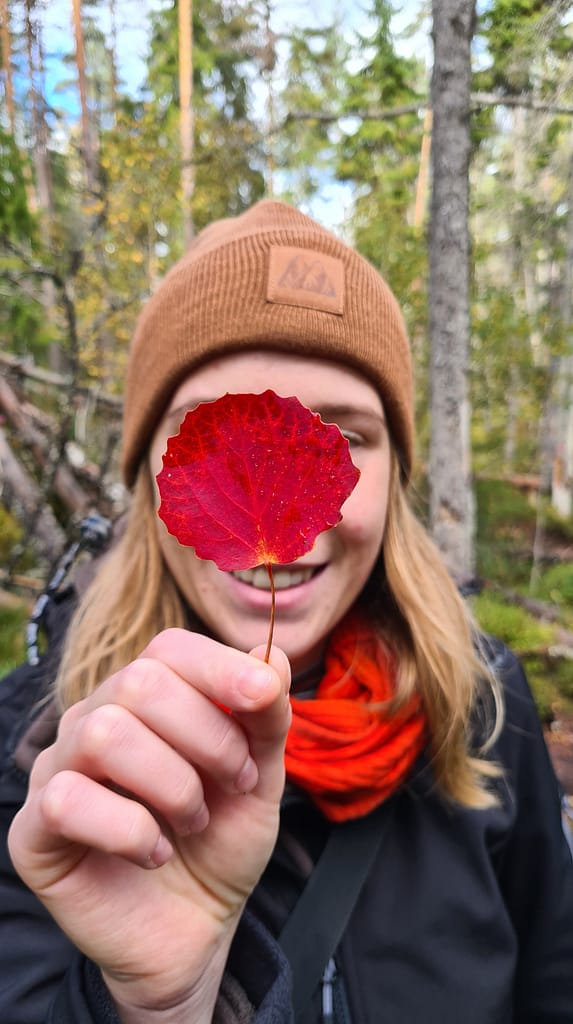 33. Ziel: Tiveden Nationalpark