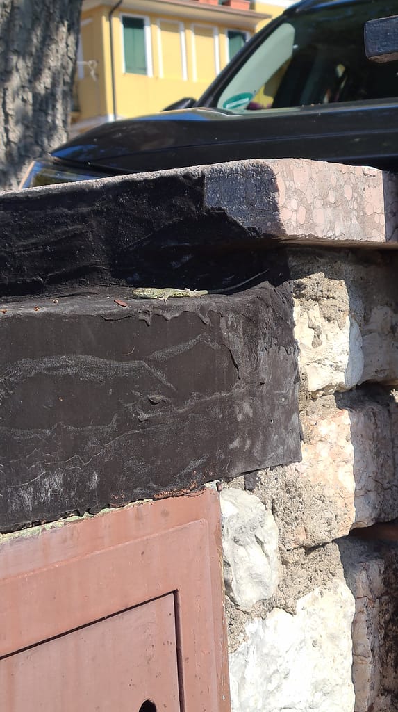 Castelletto und Malcesine – Gardasee Roadtrip: Teil 6