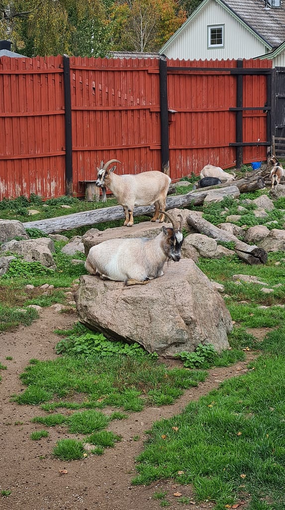 31. Ziel: Das Glasreich