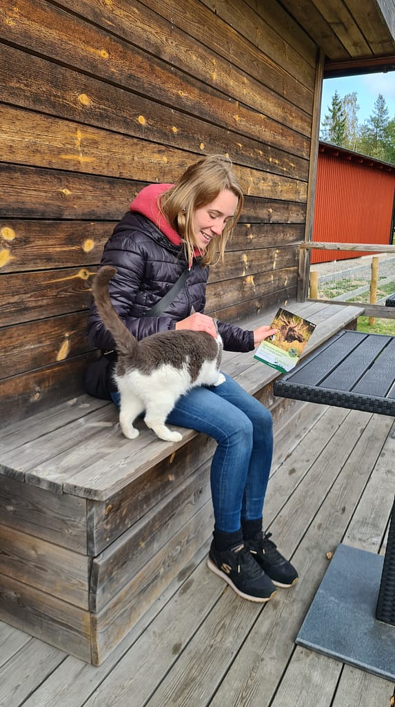 31. Ziel: Das Glasreich