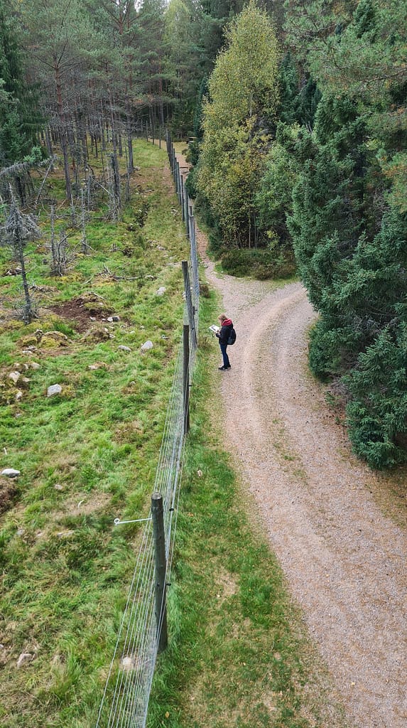 31. Ziel: Das Glasreich