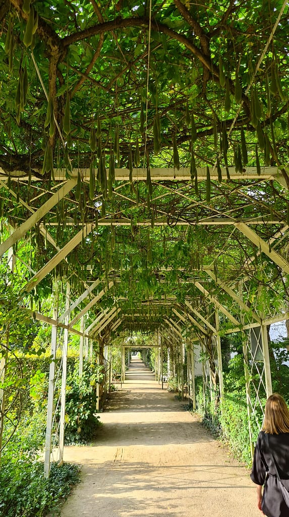 Intermezzo in Deutschland