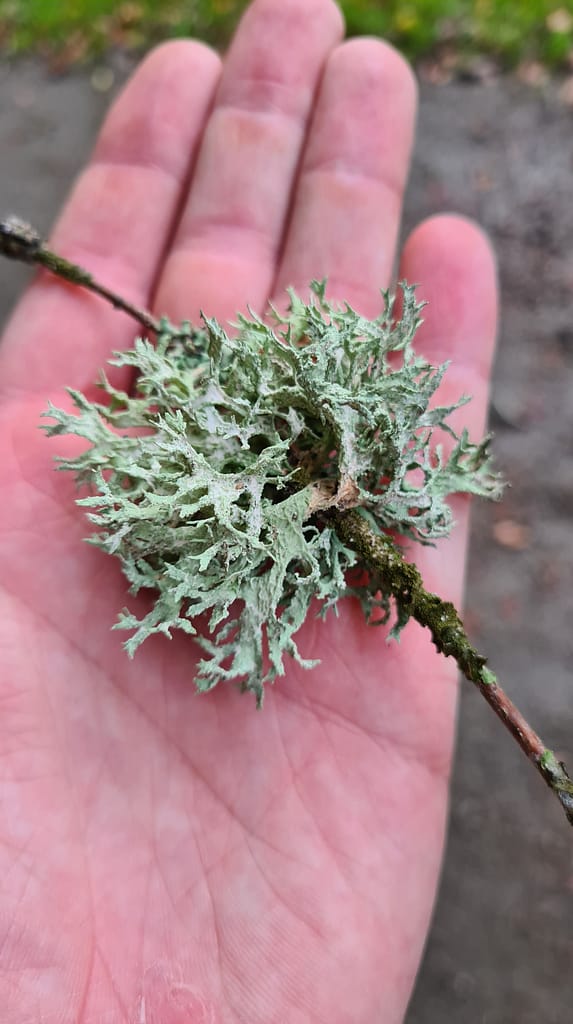 33. Ziel: Tiveden Nationalpark