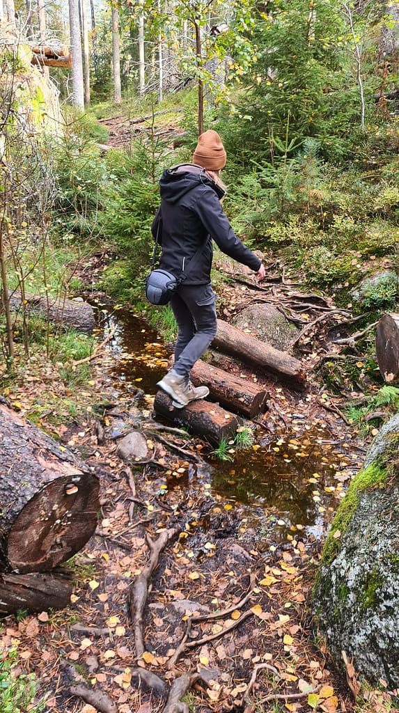 33. Ziel: Tiveden Nationalpark