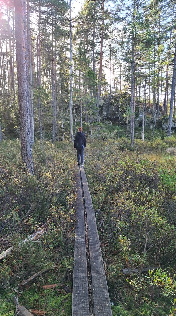 33. Ziel: Tiveden Nationalpark