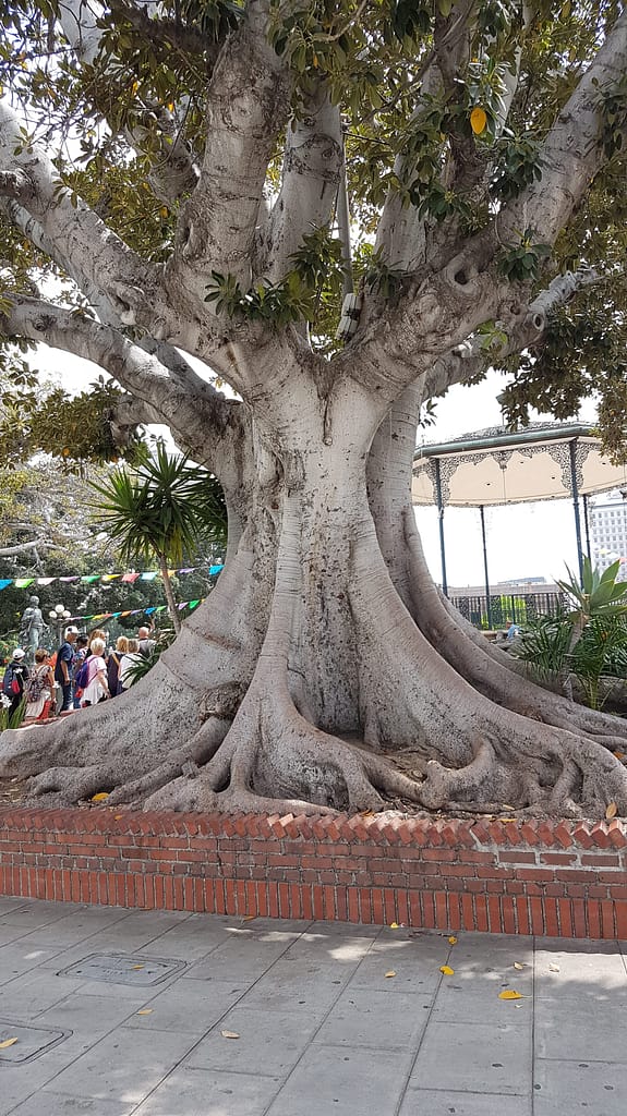 USA Roadtrip: Entlang der Westküste - Teil 5