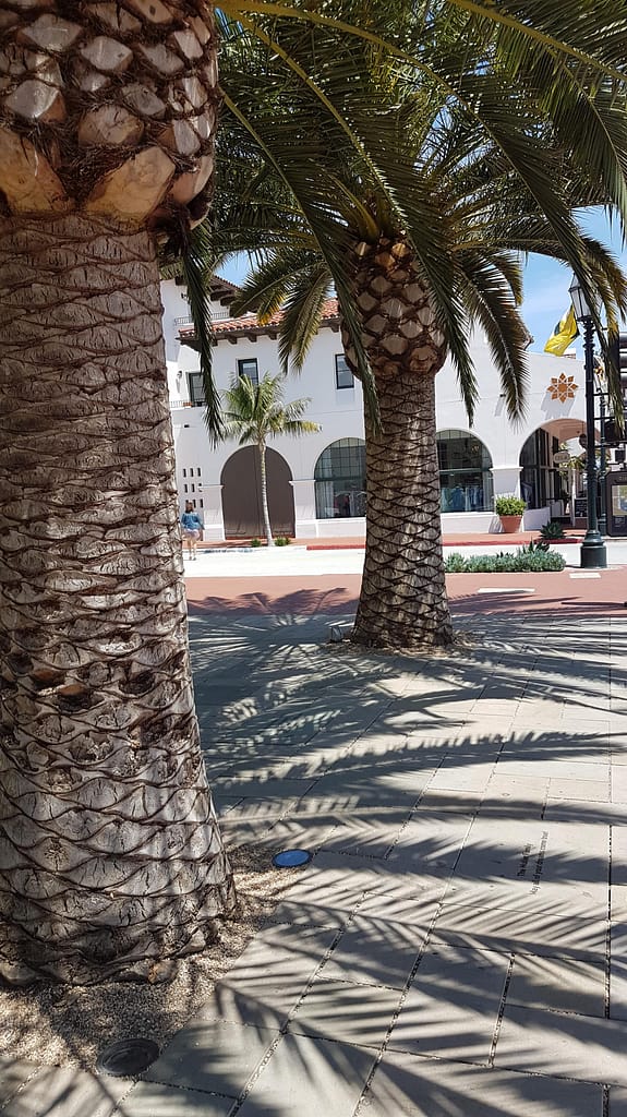 USA Roadtrip: Entlang der Westküste - Teil 4