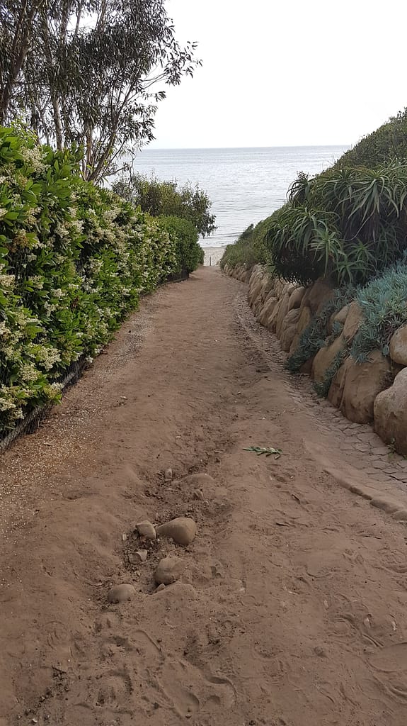 USA Roadtrip: Entlang der Westküste - Teil 4