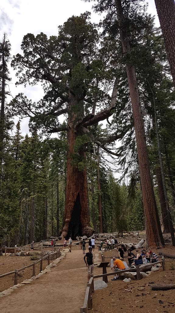 USA Roadtrip - Entlang der Westküste: Teil 2