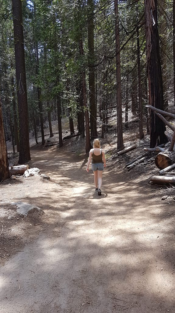 USA Roadtrip - Entlang der Westküste: Teil 2