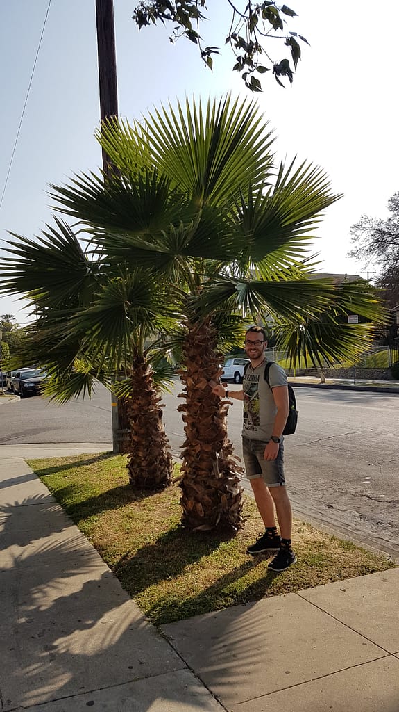 USA Roadtrip: Entlang der Westküste - Teil 5