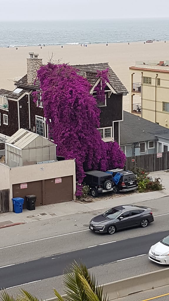 USA Roadtrip: Entlang der Westküste - Teil 5