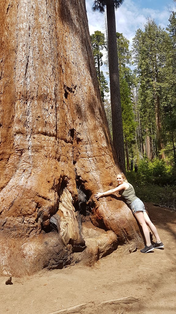 USA Roadtrip - Entlang der Westküste: Teil 2