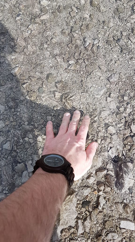 Der Eibsee - Ein Tagesausflug