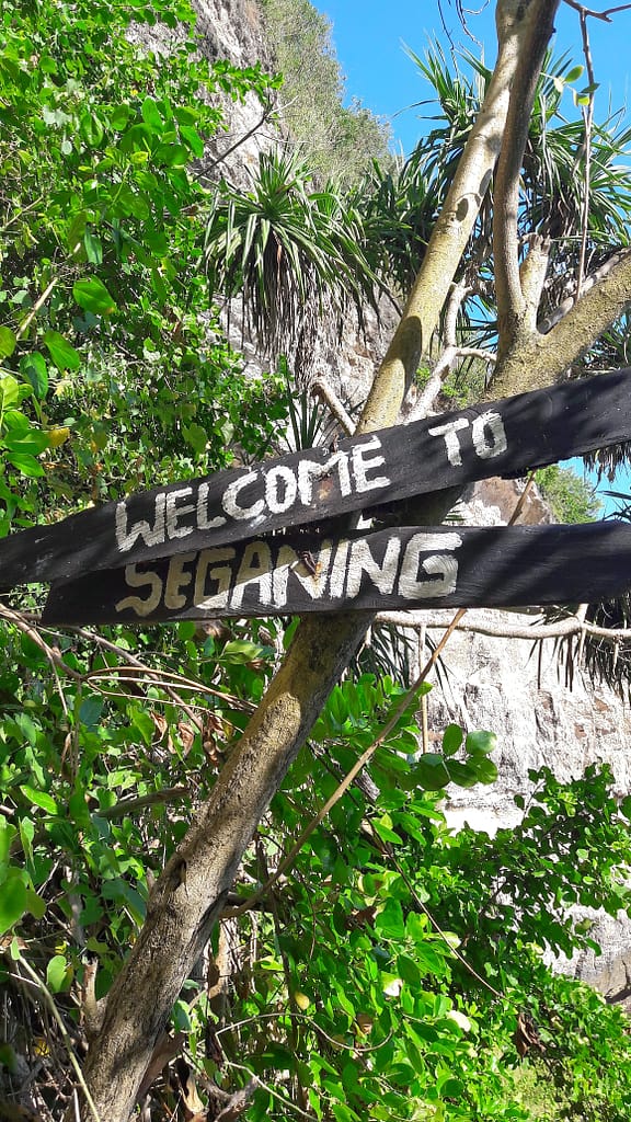 Welcome To Seganing