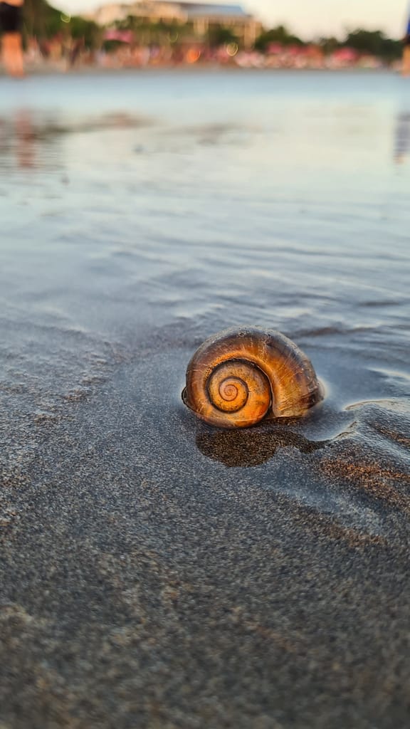 Packlisten. Was wir wirklich brauchen
