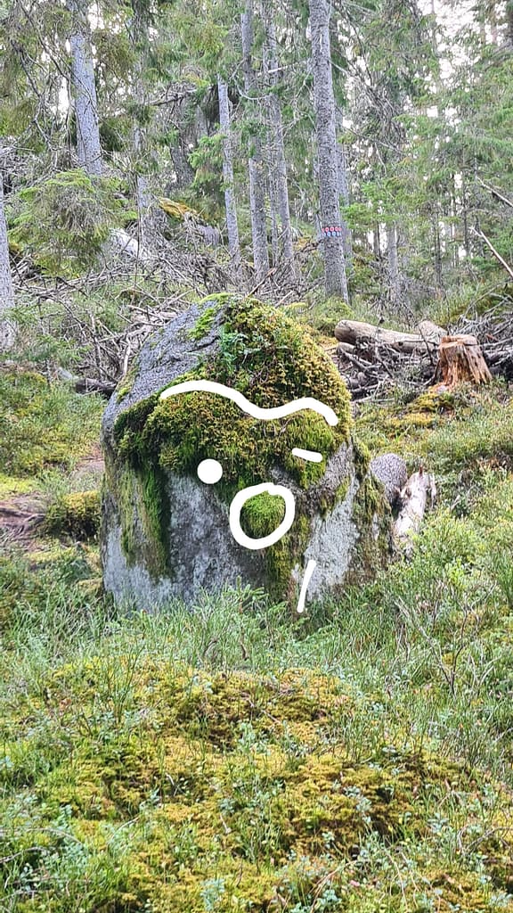 33. Ziel: Tiveden Nationalpark