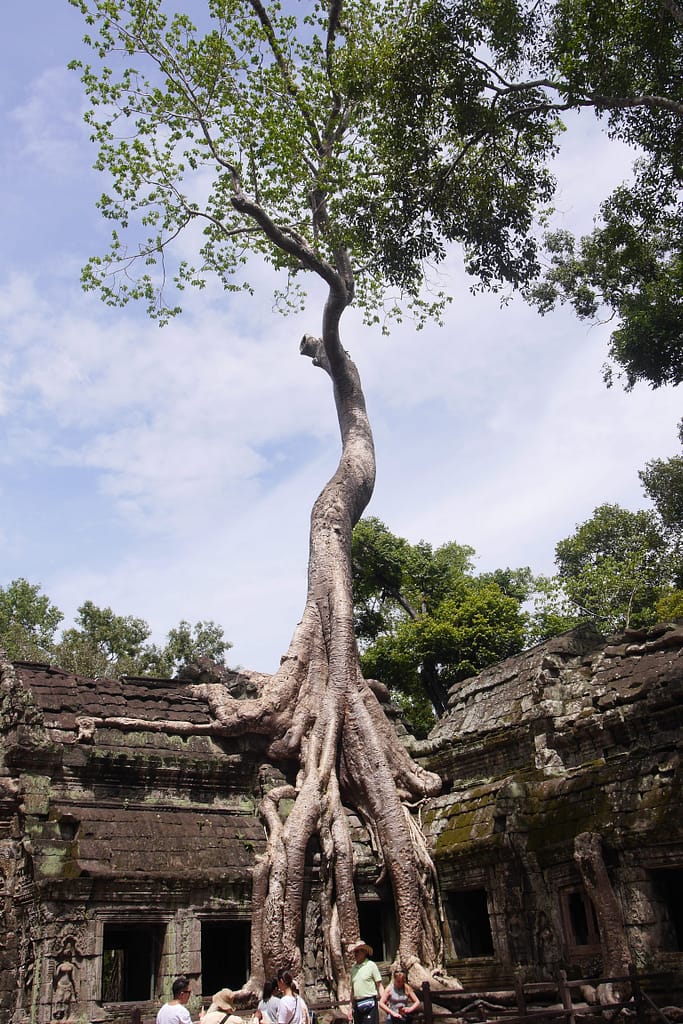 Angkor Wat: Kambodschas antike Tempelstadt